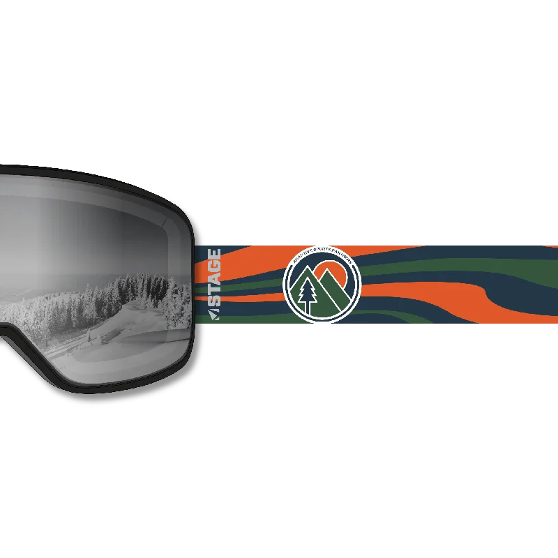 Adaptive Sports Partners Prop Ski Goggle - Mirror Chrome Smoke Lens