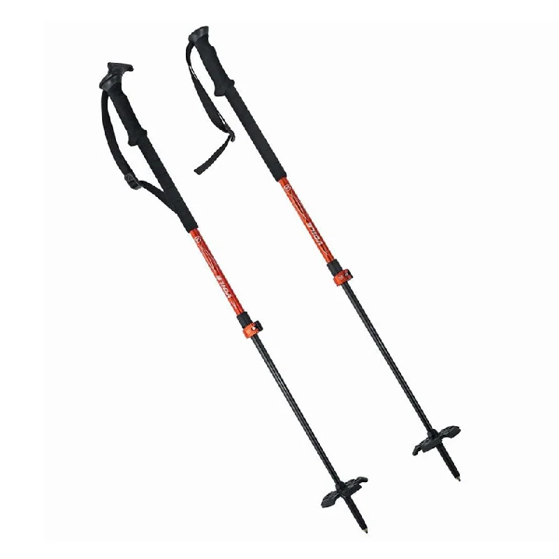 CAMLOCK 2 CARBON SKI POLES - 2023