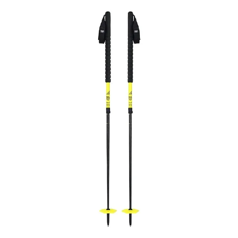 DUOS FREEBIRD SKI POLES - 2023