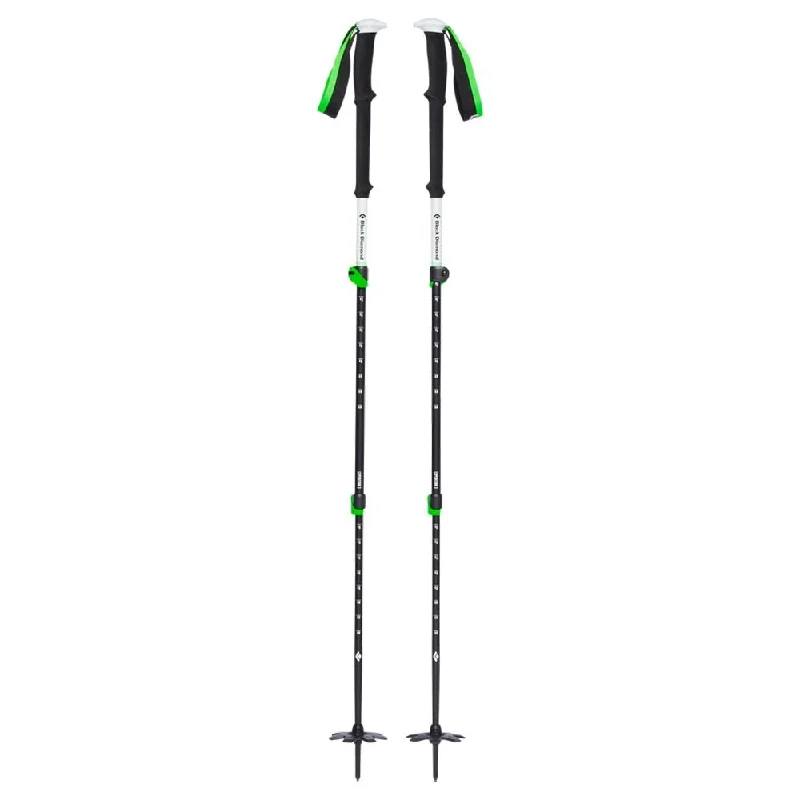 EXPEDITION 3 SKI POLES - 2024