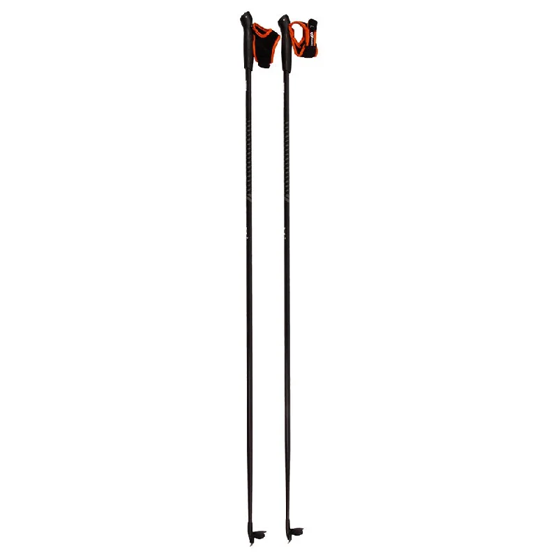 GLIDE SKI POLE