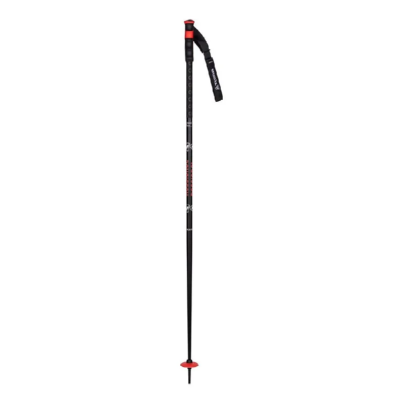 POKER PRO SKI POLE - 2024