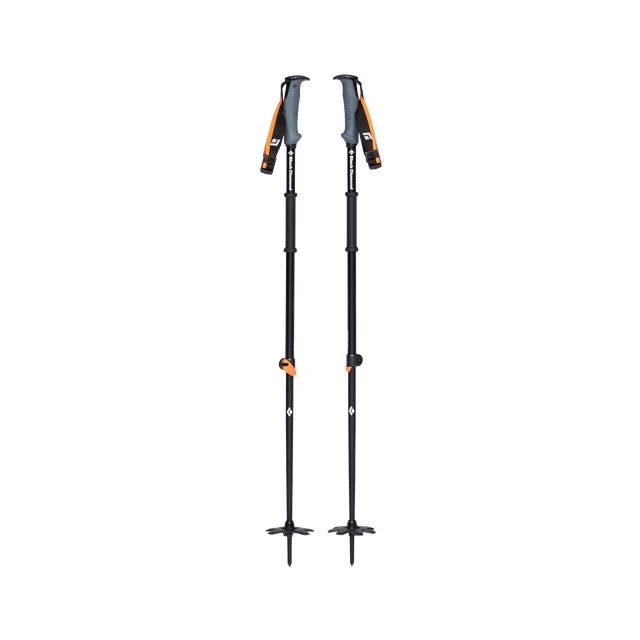 TRAVERSE WR SKI POLES